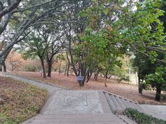 -青岛德国总督楼旧址博物馆