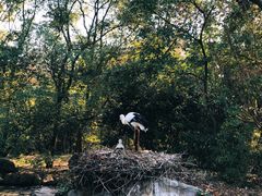 -南昌动物园