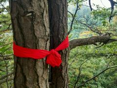 -九鼎铁刹山风景区