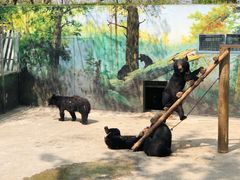 -西安秦岭野生动物园