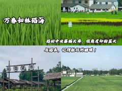 -老鼎万春卤菜(五代传承创始老店)