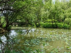 -长兴太湖图影湿地文化园