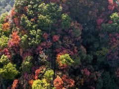 -秦岭终南山世界地质公园翠华山景区