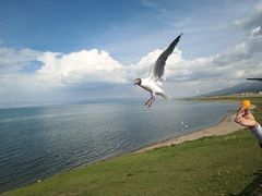 -青海湖国家重点风景名胜区