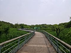 -西湖风景区-江洋畈生态公园