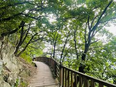 -帽儿山国家森林公园