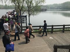 -溱湖国家湿地公园