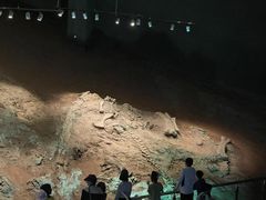 -世界恐龙谷景区