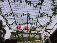 大堂-伊隆斋(什刹海店)