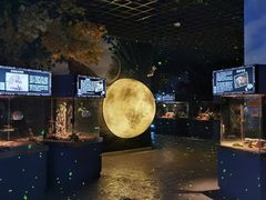 -顺德南宏海立方海洋公园