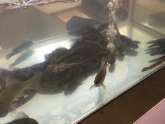 -小乡小镇·传承桐庐土菜·老板亲自烧的菜