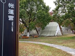 -东平国家森林公园