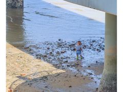 -北海金海湾红树林生态旅游区