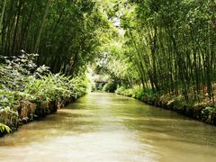-同里国家湿地公园