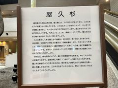 -大阪市立自然史博物馆