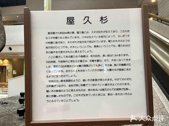 大阪市立自然史博物馆图片