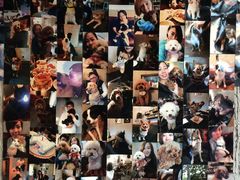 -百好乐宠物友好餐厅(朝外大街店)