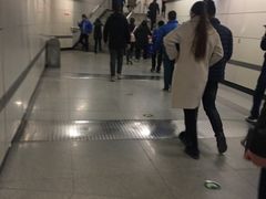 -凤栖原(地铁站)