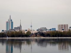 -莲花池公园