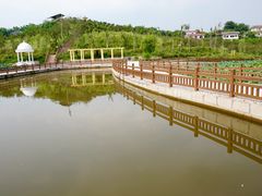 -建华生态湿地百荷园