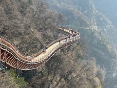 -少华山国家森林公园