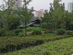 -活水公园