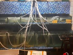 -活潑鲜跳(湖滨商业街店)