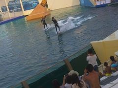 -秦皇岛乐岛海洋王国