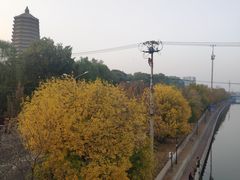-玲珑塔公园