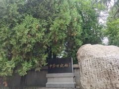 -黄帝陵