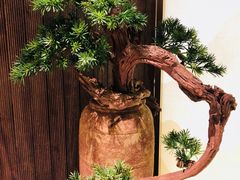 景观位-提香日本料理