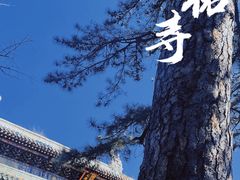 -潭柘寺景区