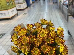 -沃尔玛(前山店)