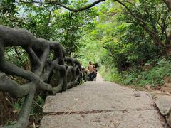 -梧桐山风景名胜区