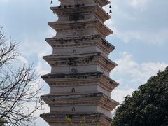 -巍山古城