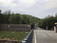 -都江堰中华大熊猫苑