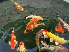 -西安市广仁寺