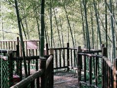 -陶祖圣境风景区