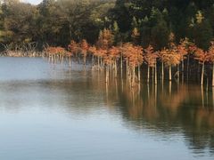 -南京枫彩漫城