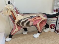-萌兽医馆·眼科·异宠专科(三里屯店)