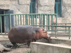 -哈尔滨北方森林动物园