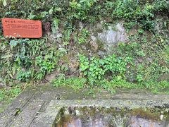 -鼓岭旅游度假区
