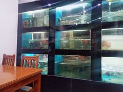 -全乐鱼馆·淳牌有机鱼直营店