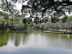 -晓港公园