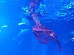 -太平洋海底世界