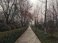 -唐城墙遗址公园
