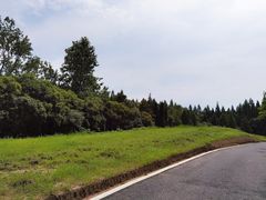 -东平国家森林公园