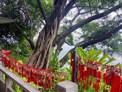 -广州市白云山风景名胜区