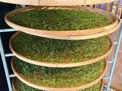 -阿巧茶庄