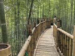 -陶祖圣境风景区